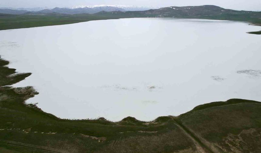 Van'ın kuş cenneti Akgöl misafirlerini bekliyor