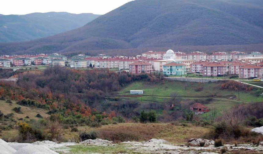 Yalova'da 58 işyeri satışa çıkarılıyor