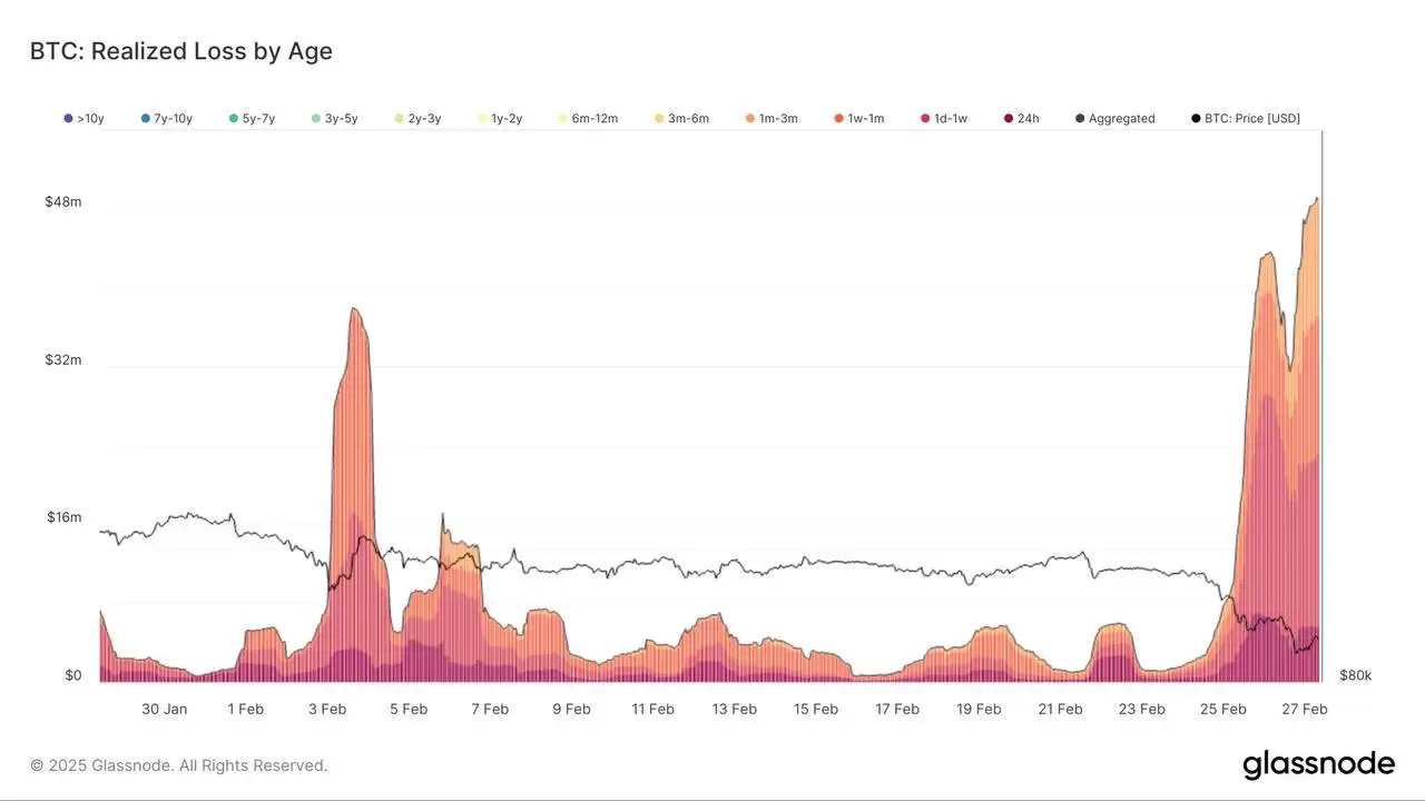 Btc 8.Jpg