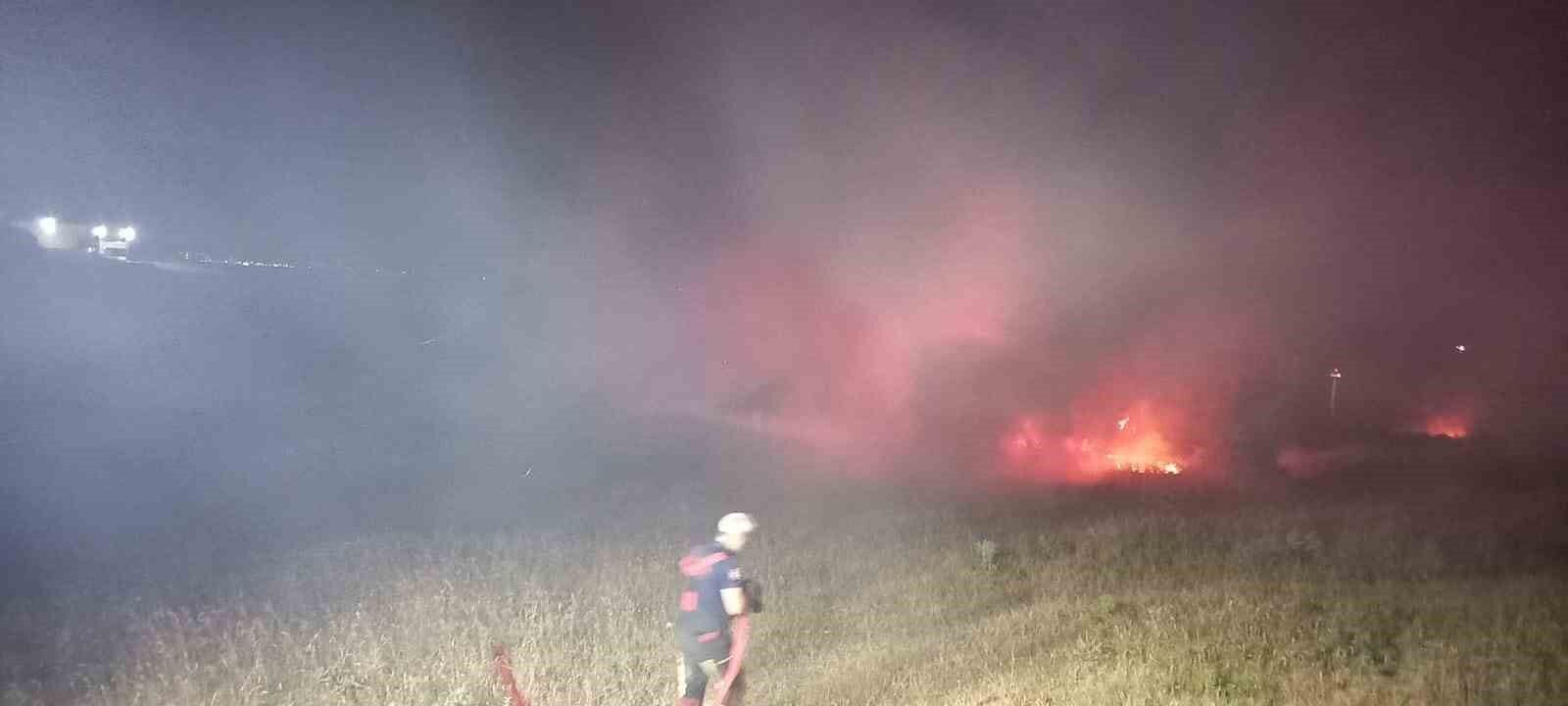 Bandırma'da eski askeri çamlıkta çıkan yangın söndürüldü