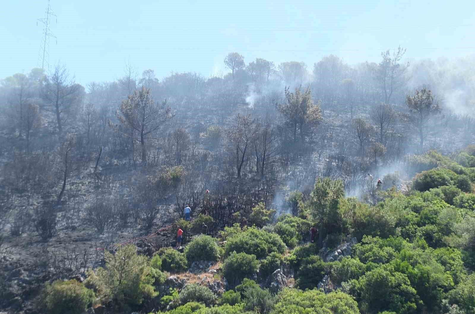 Burhaniye'de çıkan orman yangınında yaklaşık 10 dekar alan zarar gördü