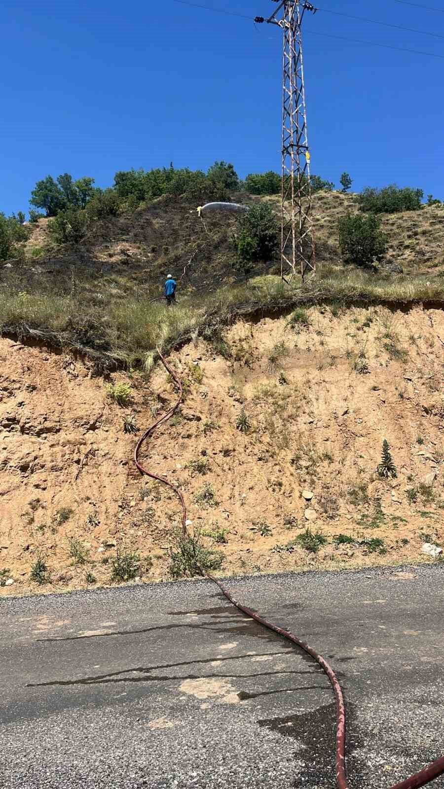 Genç'te çıkan orman yangını büyümeden söndürüldü
