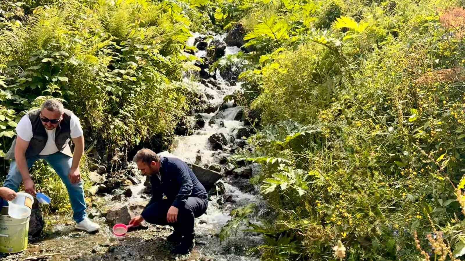 Uzungöl ve çevresindeki derelere 15 bin kırmızı benekli yavru alabalık bırakıldı