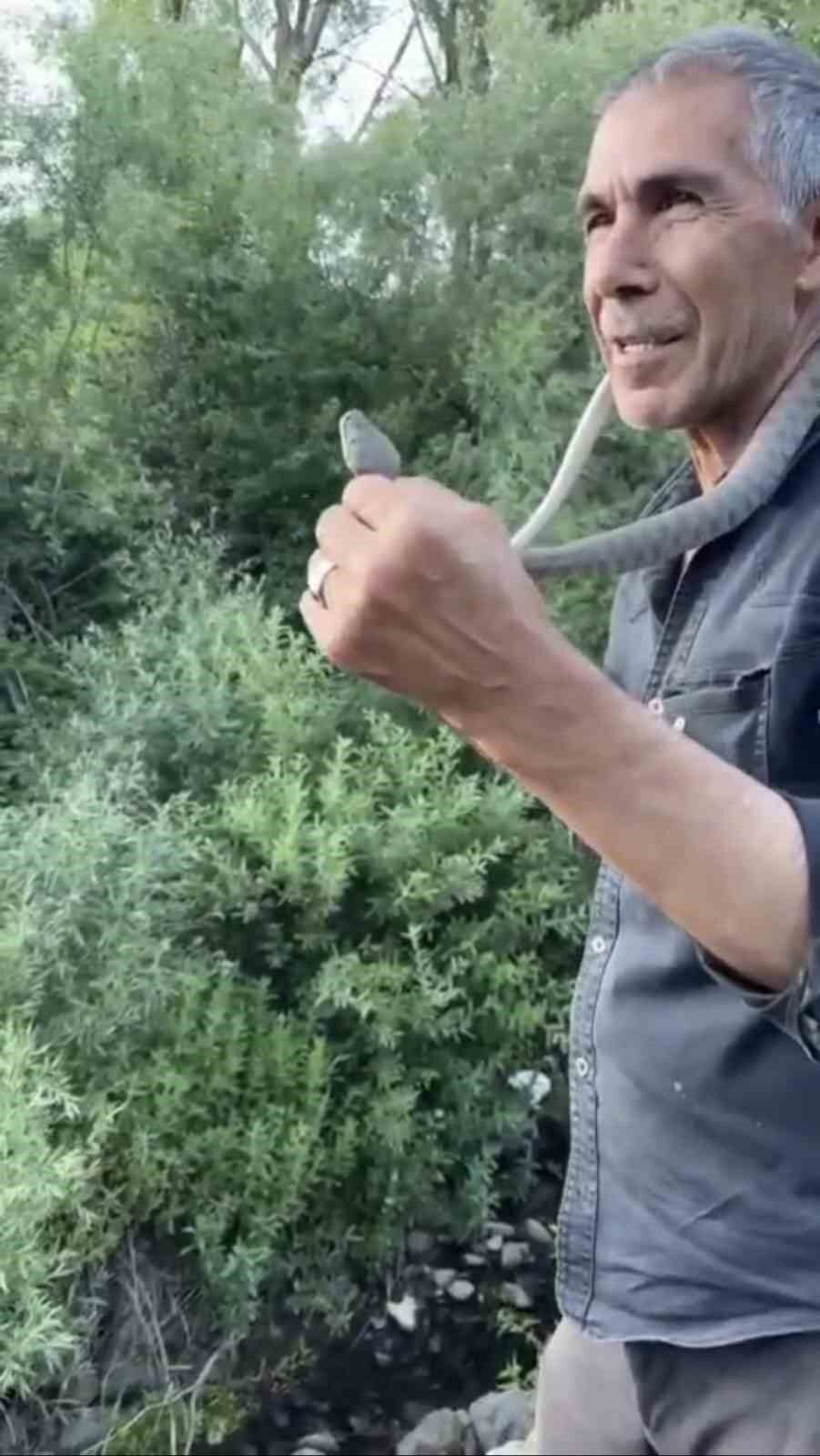 Zehirli engerek yılanını yakalayıp boynuna doladı: 'Benim yaptığımı yapmayın'